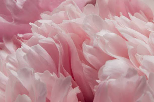 Fragrance Layering Combos